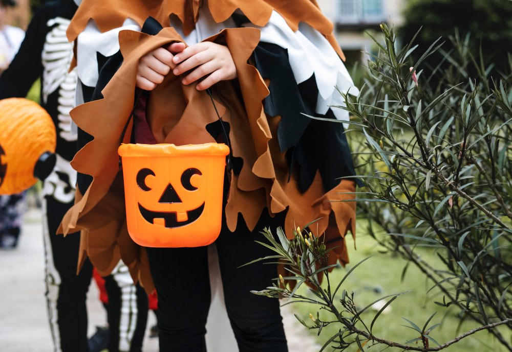 Halloween near Willow Glen and Campbell